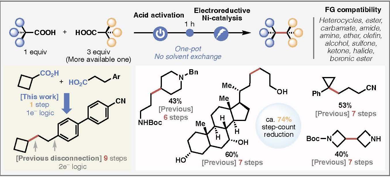 TOC graphic for "Complex molecule synthesis by electrocatalytic decarboxylative cross-coupling"