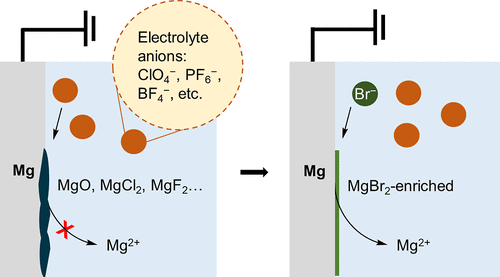 TOC graphic for "Improving the Mg Sacrificial Anode in Tetrahydrofuran for Synthetic Electrochemistry by Tailoring Electrolyte Composition"