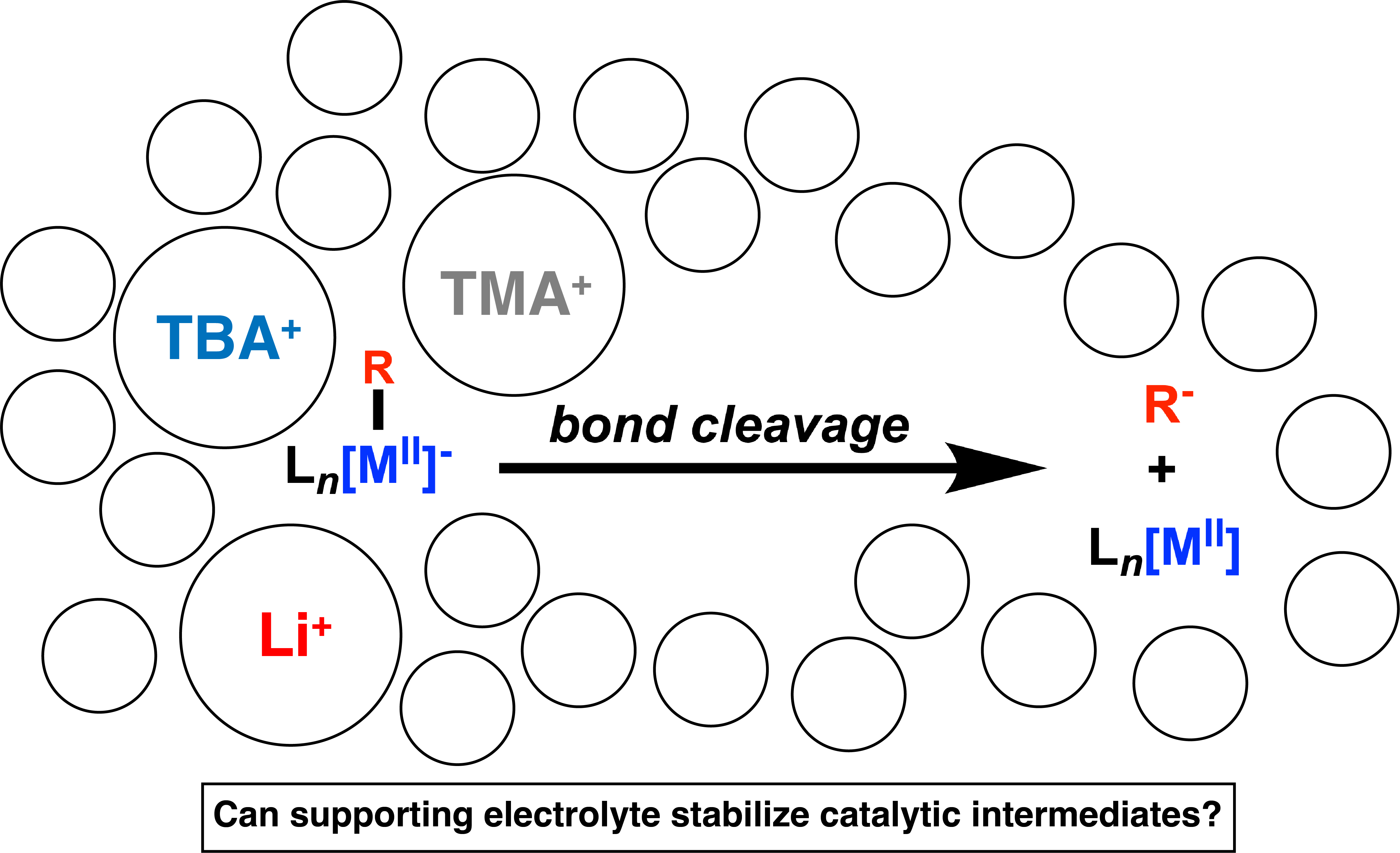 graphic for "Exploring Electrolyte Effects on Metal-Alkyl Bond Stability: Impact and Implications for Electrosynthesis"