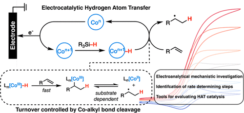TOC graphic for "Unraveling Hydrogen Atom Transfer Mechanisms with Voltammetry: Oxidative Formation and Reactivity of Cobalt Hydride"