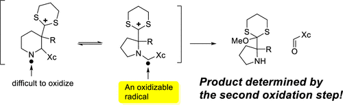 TOC graphic for "Anodic Cyclizations and Umpolung Reactions Involving Imines"