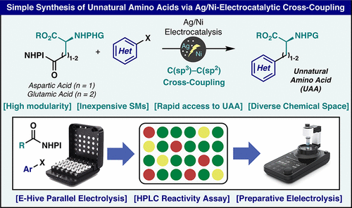 TOC graphic for "Synthesis of Unnatural Amino Acids via Ni/Ag Electrocatalytic Cross-Coupling"