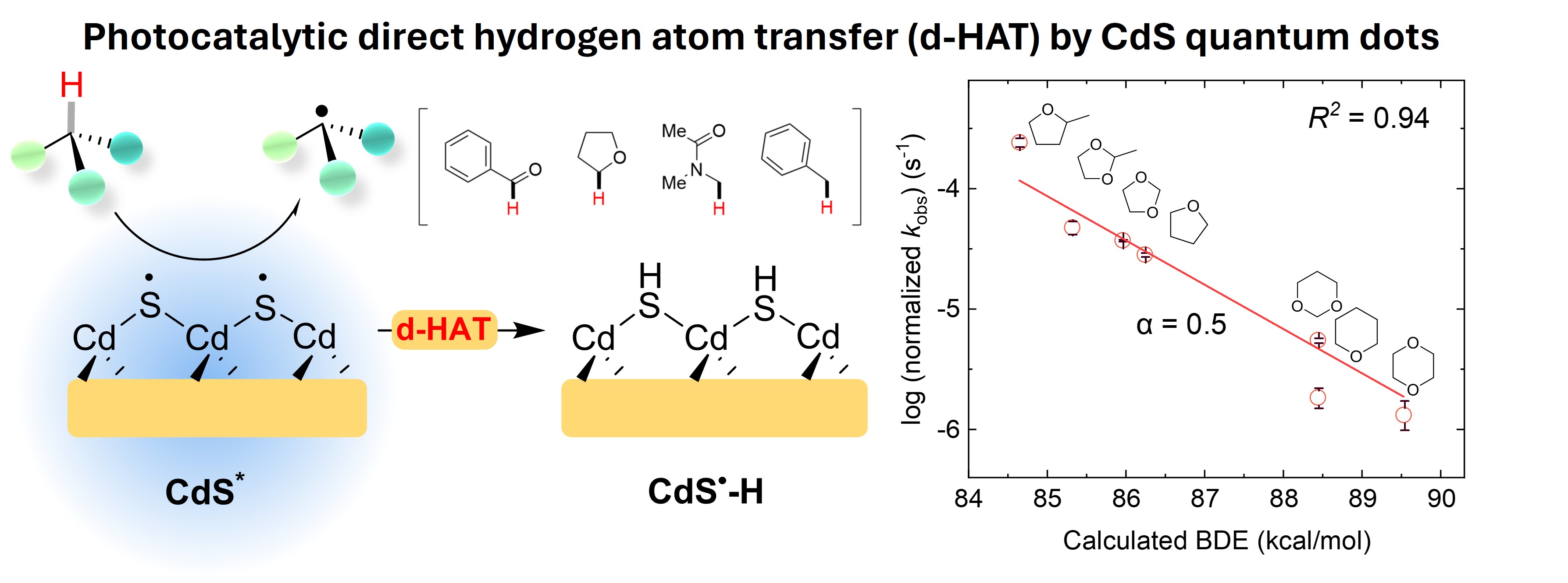 TOC graphic for "CdS Quantum Dot Gels as a Direct Hydrogen Atom Transfer Photocatalyst for C-H Activation"